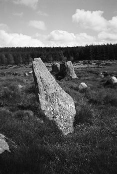 Black and white film image of meadow and forrest in Eslie, Durris, Aberdeenshire