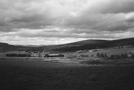 Black and white film image of meadow and forrest in Eslie, Durris, Aberdeenshire