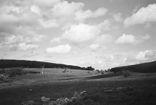 Black and white film image of meadow and forrest in Eslie, Durris, Aberdeenshire