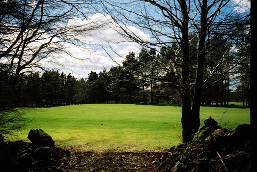 Film image of forrest in Countesswells, Aberdeen