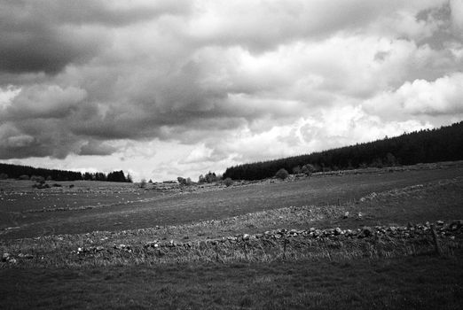 Black and white film image of meadow and forrest in Eslie, Durris, Aberdeenshire