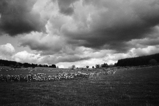  Black and white film image of meadow and forrest in Eslie, Durris, Aberdeenshire