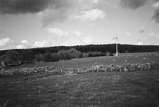  Black and white film image of meadow and forrest in Eslie, Durris, Aberdeenshire
