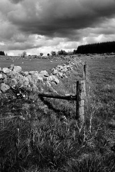 Black and white film image of meadow and forrest in Eslie, Durris, Aberdeenshire