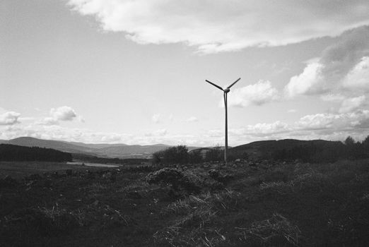 Black and white film image of meadow and forrest in Eslie, Durris, Aberdeenshire