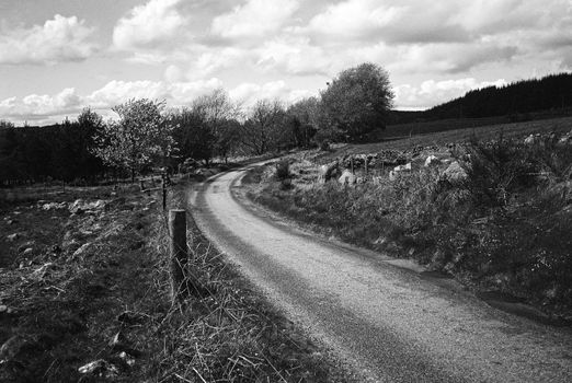 Black and white film image of road through meadow and  in Eslie, Durris, Aberdeenshire