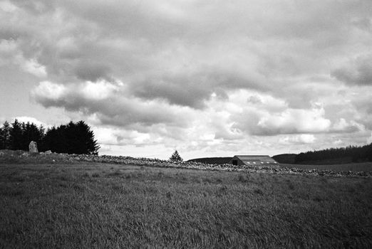 Black and white film image of meadow and forrest in Eslie, Durris, Aberdeenshire