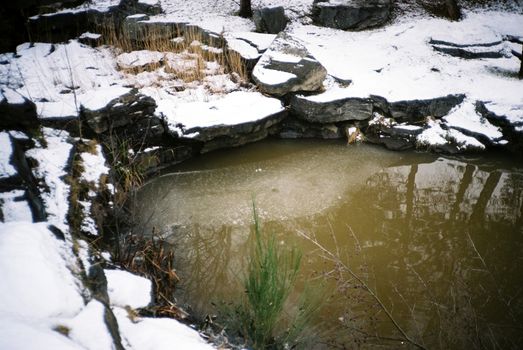 Color film image of small pond in Aviemore