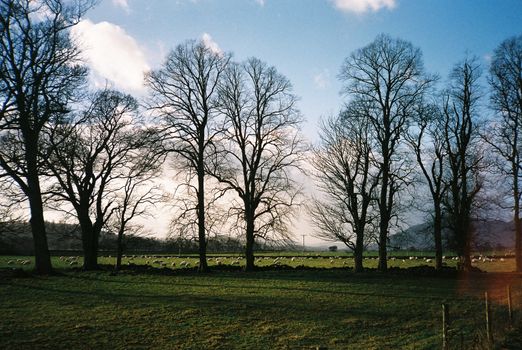 Color film image of nature scenery 