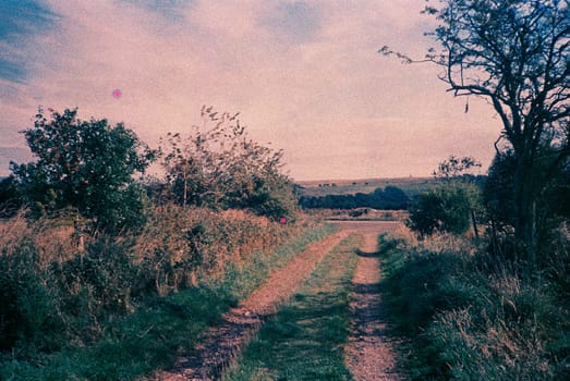 Color film image of lanes in Laurencekirk