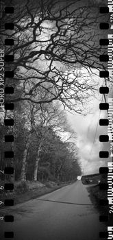 Aberdeen & Aberdeenshire Panoramas, Sprocket Rocket, expired film, April 2015