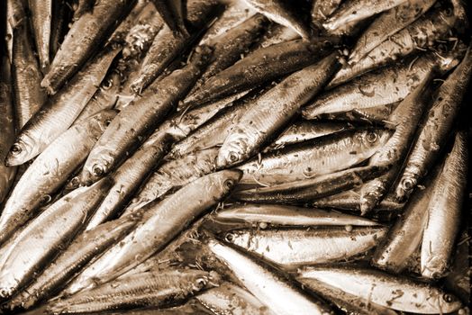 Fresh Smelts preparation for frying. Close-up