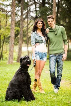 Young handsome heterosexual couple with a dog, a black giant schnauzer,  walking through the park.