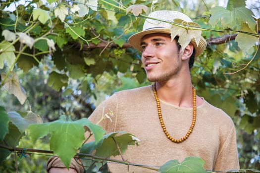 Side view of handsome young man in hat toching vine leaves in garden in sunlight