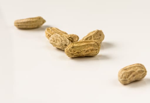 Peanut in macro shot in studio