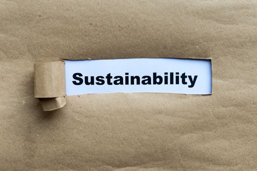 sustainability word on the torn paper background