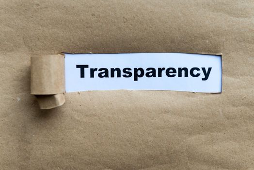 transparency word on the torn paper background