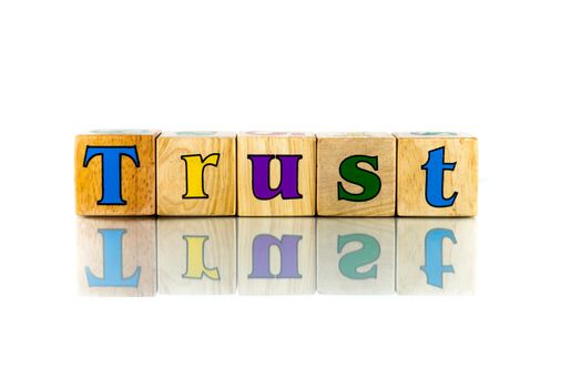 Buzzword Cubes: Trust on the white background