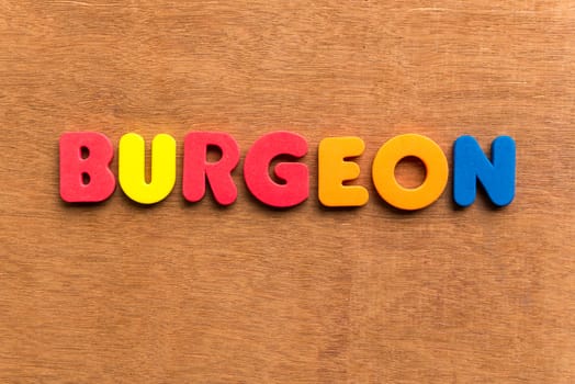 burgeon colorful word on the wooden background