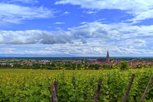 View on Saint-Hyppolyte and vineyard by beautiful day, Alsace, France