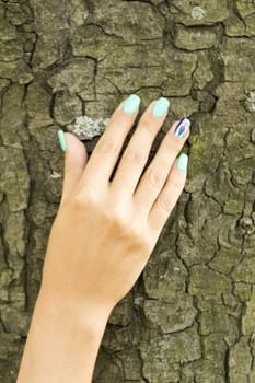 Arm girls with beautiful manicure touches the tree bark