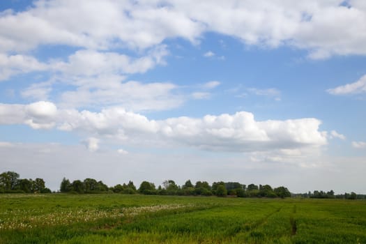 sky over rural field summer day