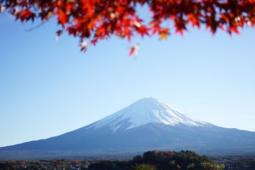 Mountain Fuji with maple tree