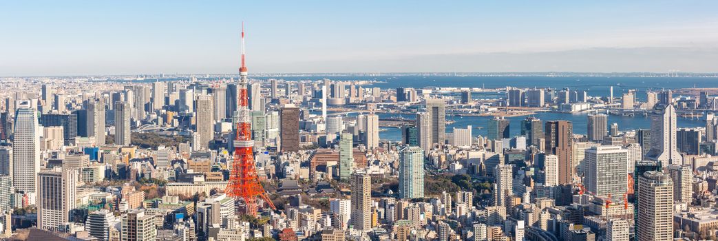Tokyo Tower with skyline in Japan Panorama