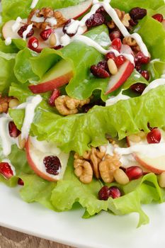 Salad of apples, cranberries , pomegranate, pine nuts and walnuts dressed with yogurt  