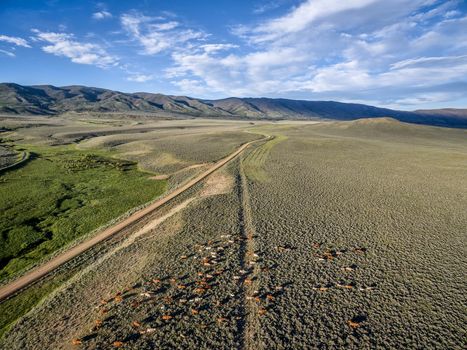 ranch road and cattle near Walden, North Park, Colorado  with Medicine Bow Mountains - early summer aerial view