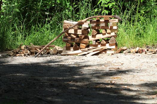 Firewood pile for camping in early morning sun