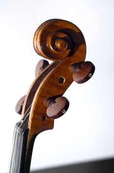 Violin curl made in Cremona, Italy, home of famous Stradivari
