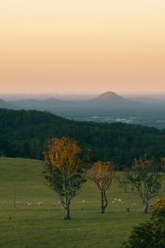 View from Dahmongah lookout in Mount Mee at dusk.