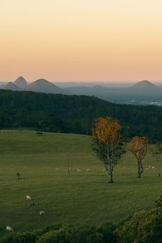 View from Dahmongah lookout in Mount Mee at dusk.