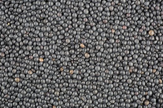 Black lentil food background texture