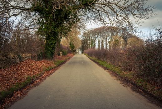 Road in rural Britain in winter