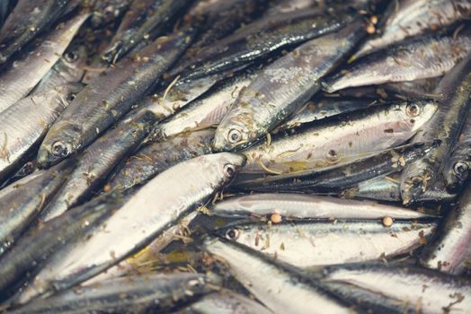 Fresh Smelts preparation for frying. Close-up