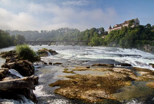 Rhinefalls, Switzerland and tree green