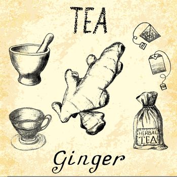 Ginger herbal tea. Set of elements on the basis hand pencil drawings. Ginger root, tea bag, mortar and pestle, textile bag, cup. For labeling, packaging, printed products