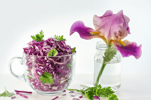 Salad of red cabbage with parsley and flower in the pot. Morning light from the window, and on a white background.