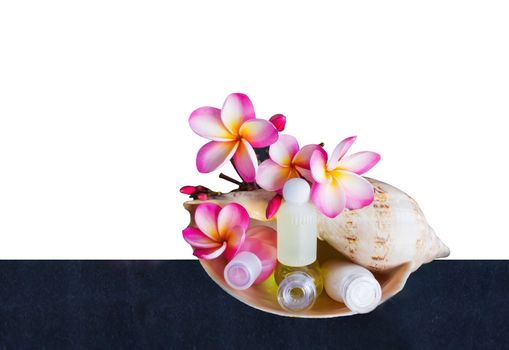 Isolated mini set of bubble bath and shower gel in sea conch shell with pink flower plumeria or frangipani on white background with clipping path