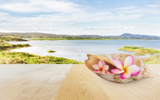 Pink flower plumeria or frangipani in sea conch shell on wooden table top at lake or reservoir background with blank or space area