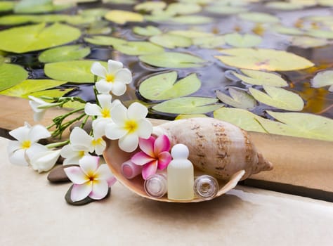 Mini set of bubble bath and shower gel in sea conch shell with beautiful flower plumeria or frangipani beside the lotus leaf pool, shampoo conditioner spa set treatment with space area