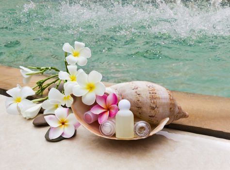 Mini set of bubble bath and shower gel in sea conch shell with beautiful flower plumeria or frangipani beside the pool, shampoo conditioner spa set treatment at swiming pool