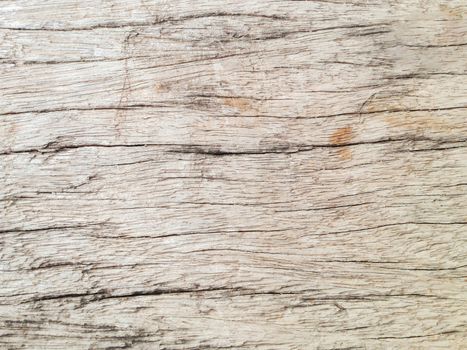 Texture background of old wood or log and timber surface, old wood surface line and fine pattern nature texture
