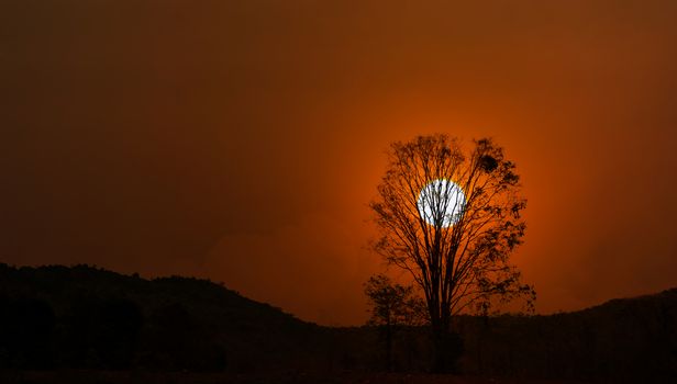 Silhouette black shadow tree shape and hill with big sun, sunset in twilight with tree silhouette at the hill