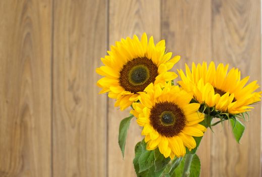 Close up of sunflowers over a wooden background