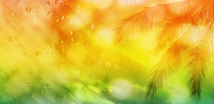 Blurred background of coconut tree and coconut leaf pattern on water drop orange and green for summer background