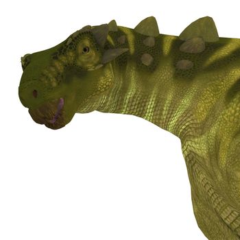 Talarurus was a herbivorous ankylosaur that lived in Mongolia during the Cretaceous Period.