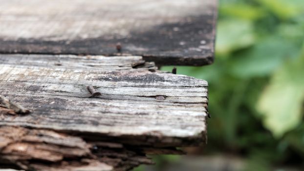 Abstract background for design with old wooden, piece of paper for text in vintage color